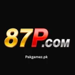87P Game