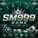 sm999 game
