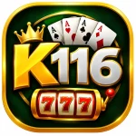 K116 Game